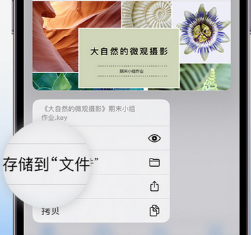 荣成apple维修中心分享iPhone文件应用中存储和找到下载文件