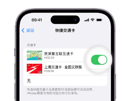 荣成apple维修点分享iPhone上更换Apple Pay快捷交通卡手绘卡面 