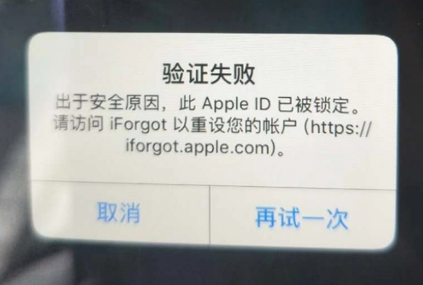 荣成iPhone维修分享iPhone上正常登录或使用AppleID怎么办 