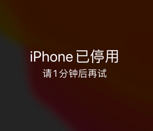 荣成苹果手机维修分享:iPhone 显示“不可用”或“已停用”怎么办？还能保留数据吗？ 