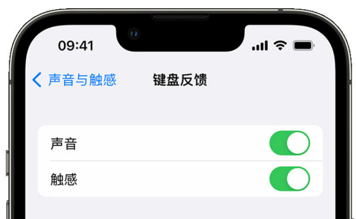 荣成苹果手机维修分享iPhone 14触感键盘使用方法 