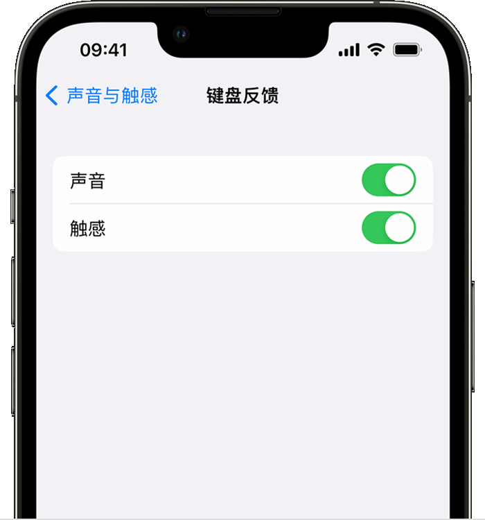 荣成苹果14维修店分享如何在 iPhone 14 机型中使用触感键盘 