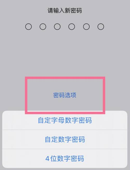 荣成苹果14维修分享iPhone 14plus设置密码的方法 