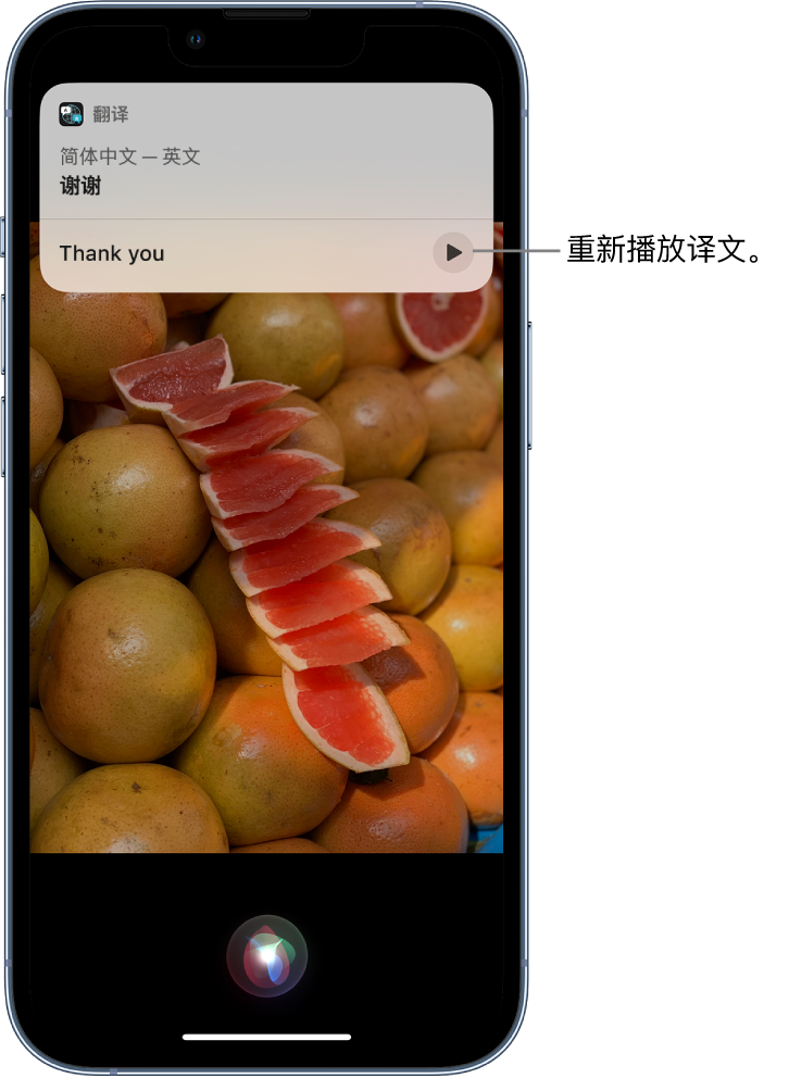 荣成苹果14维修分享 iPhone 14 机型中使用 Siri：了解 Siri 能帮你做什么 