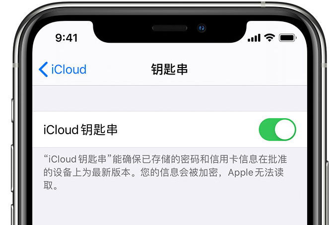 荣成苹果手机维修分享在 iPhone 上开启 iCloud 钥匙串之后会储存哪些信息 