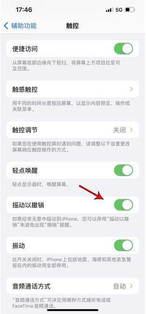 荣成苹果手机维修分享iPhone手机如何设置摇一摇删除文字 